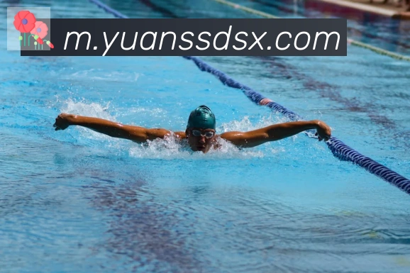 爱游戏ayx平台生态图