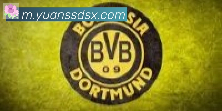 爱游戏ayx合作伙伴